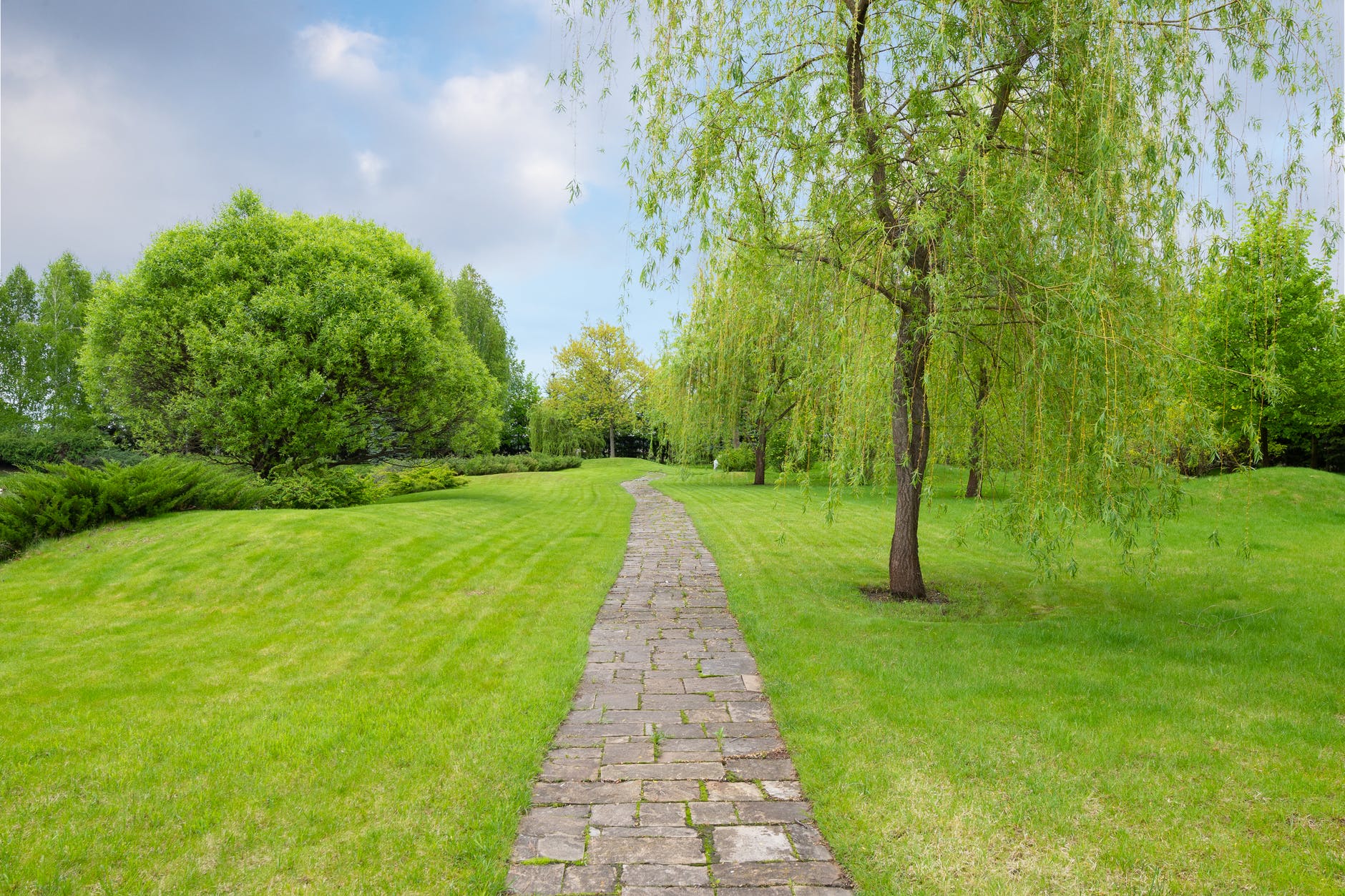 stone path surrounded with green grass and trees