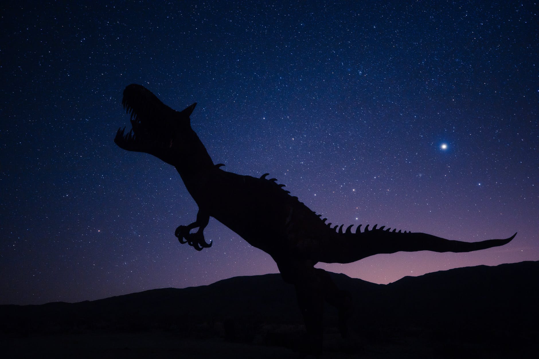 Chief Digital Dinosaur?